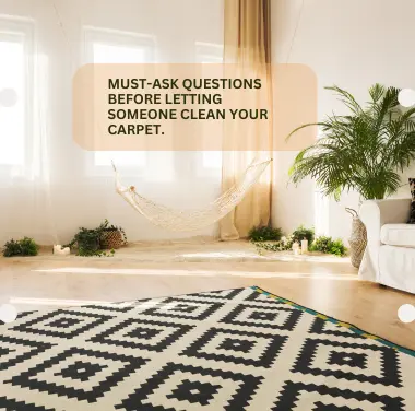 Best Couch Cleaning Company